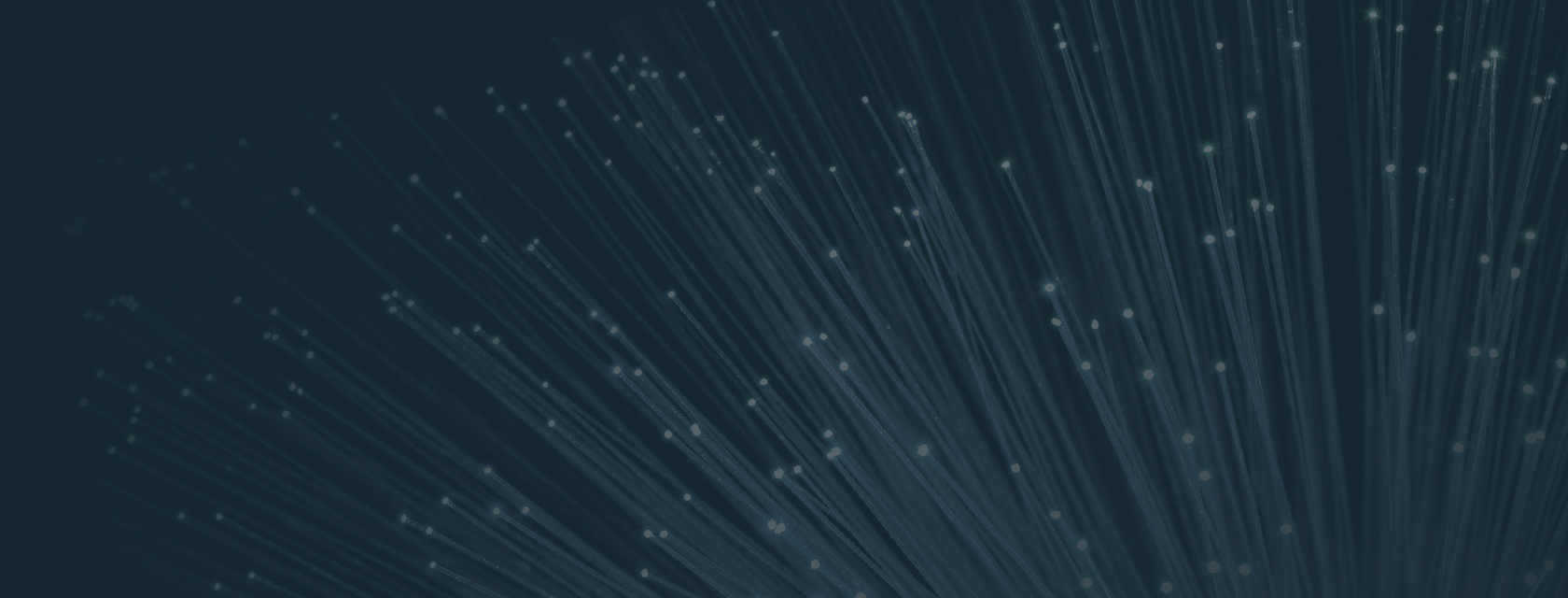 ������app